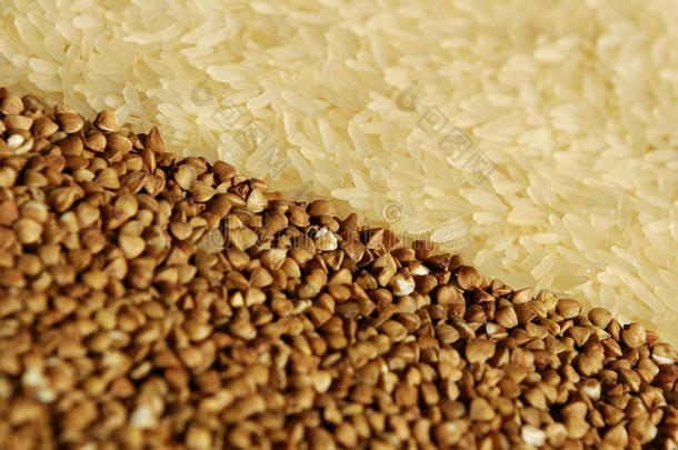 水稻和荞麦在直径上相互关联