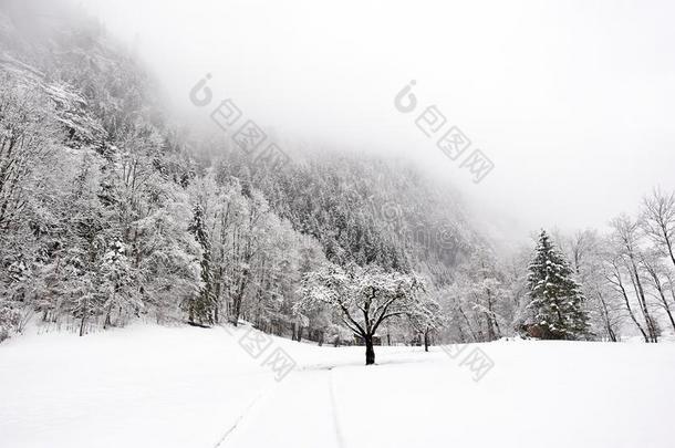 特鲁梅巴赫瀑布-冬季