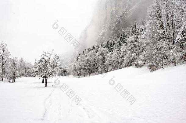 特鲁梅巴赫瀑布-冬季