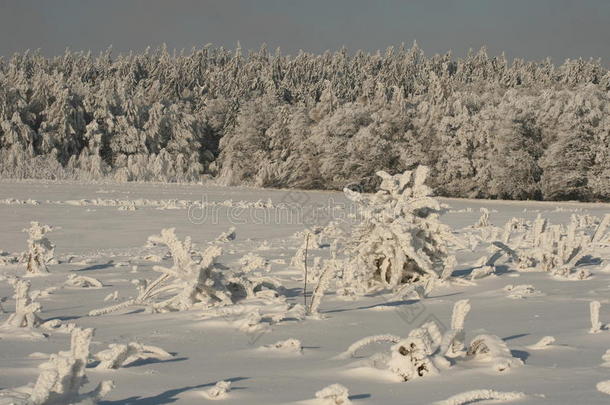 雪中送炭