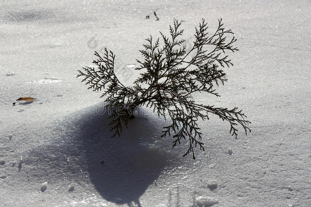 雪中送炭