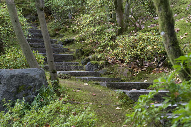 乡村楼梯