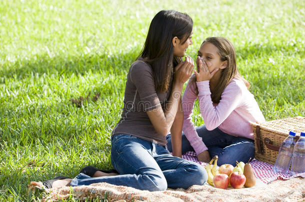 女孩们在草地上的野餐毯上低语