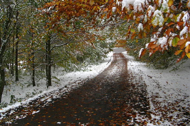 秋冬在同一条路上