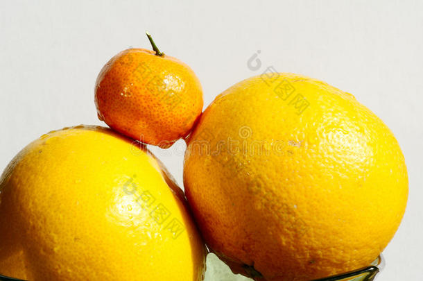橘子柚子