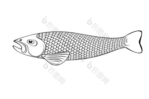 黑白鱼插图