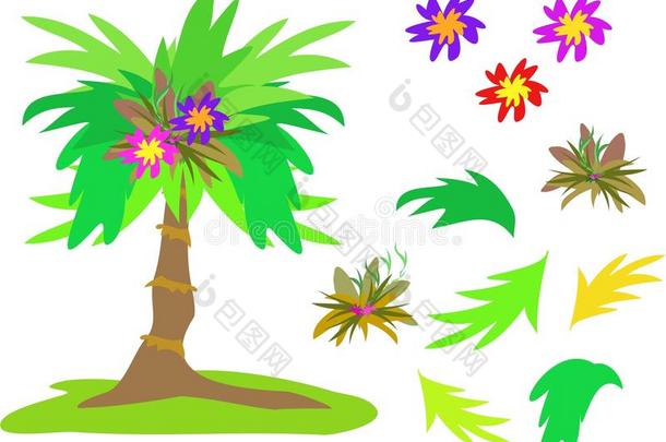 热带棕榈、花卉和树叶的混合物