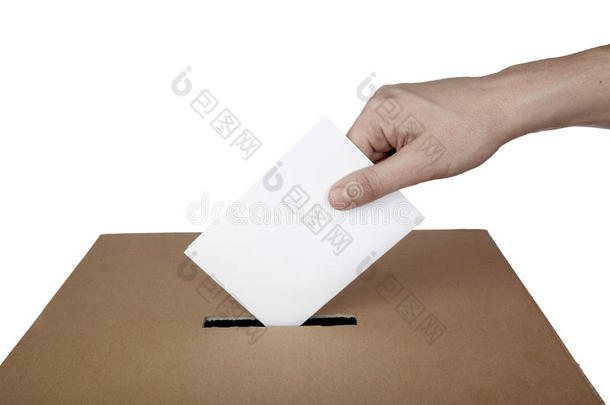 投票箱政治选择选举