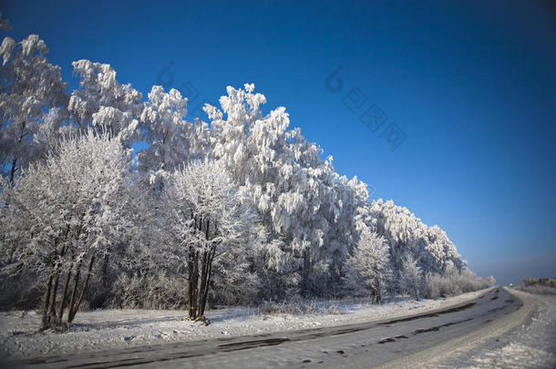 冬季道路，有霜冻树木和雾凇