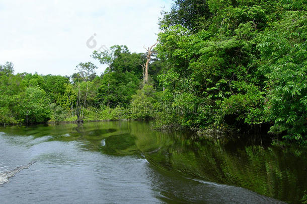 亚马逊河上泛舟