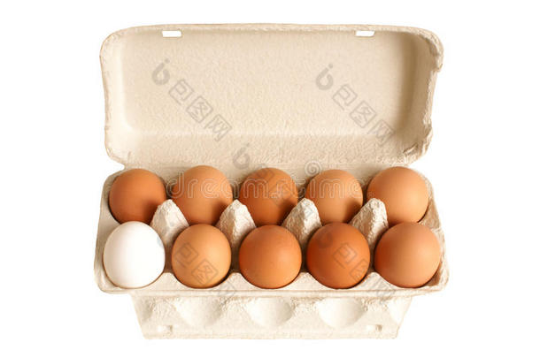 鸡蛋开箱