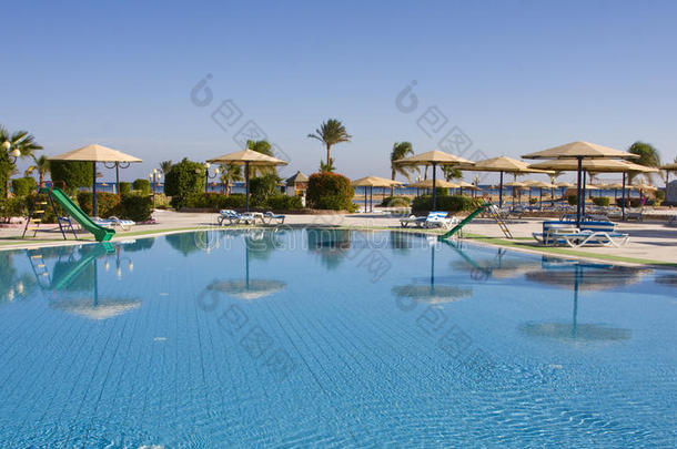 游泳池。埃及。