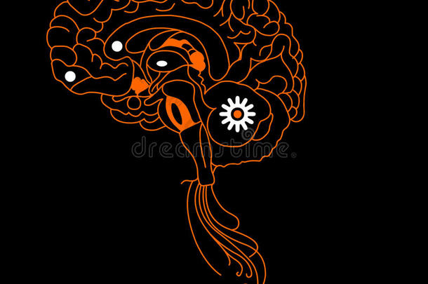 橙色大脑