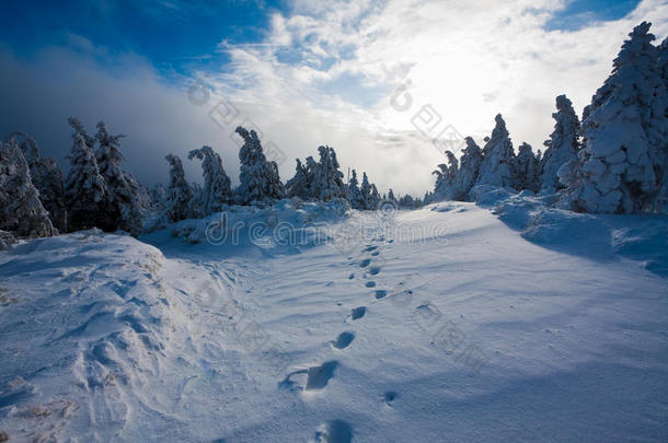 雪域的脚步声