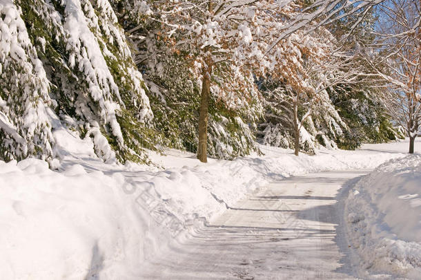 暴风雪过后的乡间小路