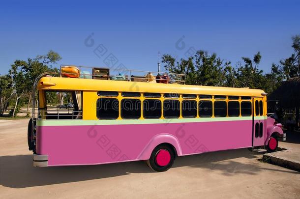 彩色巴士黄粉色热带旅游