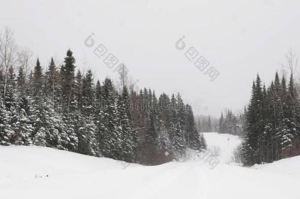 雪路