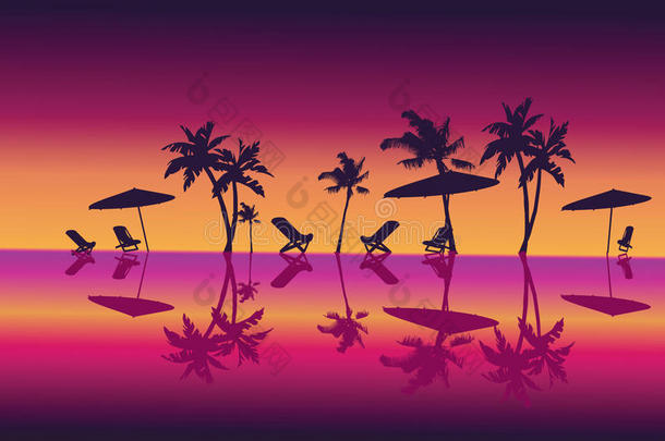 紫夜海棕榈海滩。