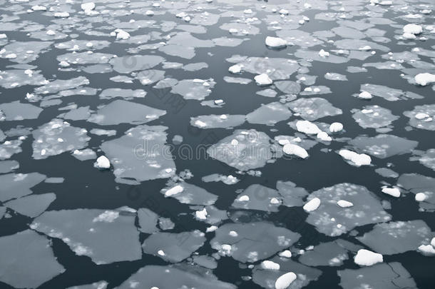 南极冰水