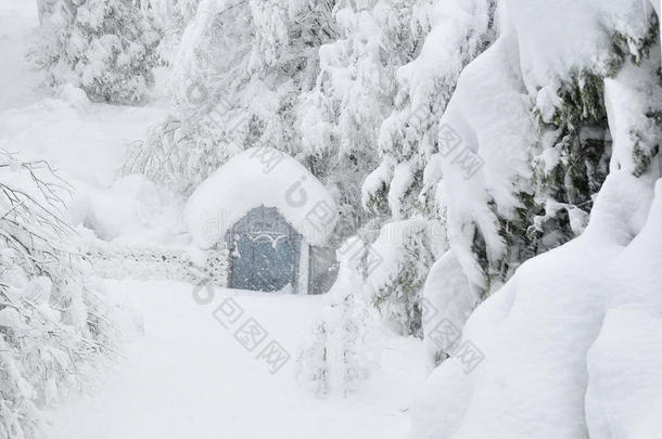 被埋在雪里