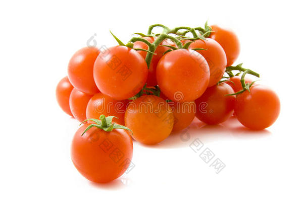 生物番茄