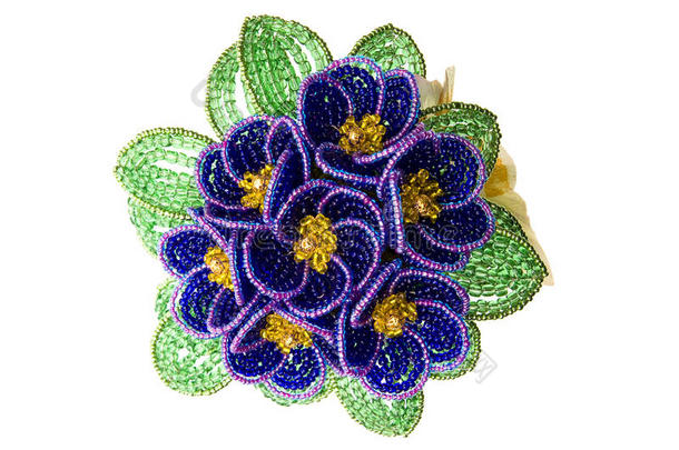 绿叶紫珠花
