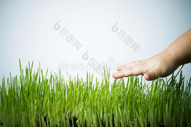 手放在草地上