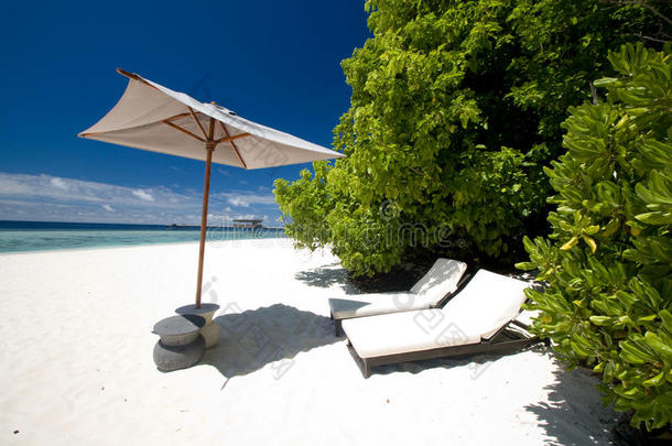 沙滩，带日光浴床和雨伞