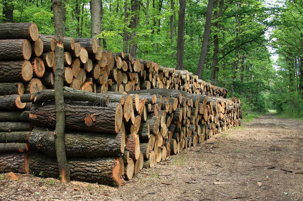一堆木头