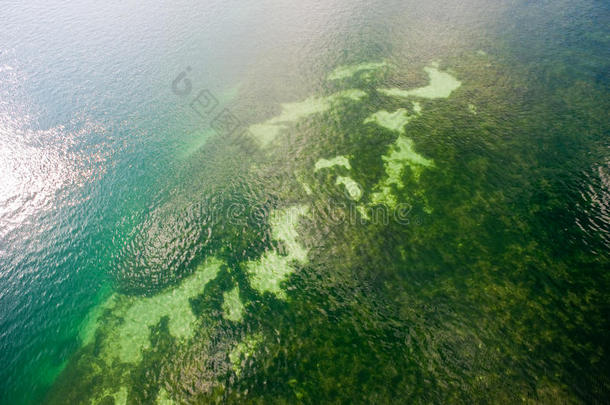 海底暗礁鸟瞰图