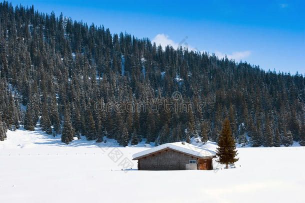 瑞士冬季谷仓