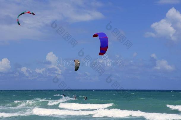 佛罗里达迈阿密海滩的风筝冲浪水上运动