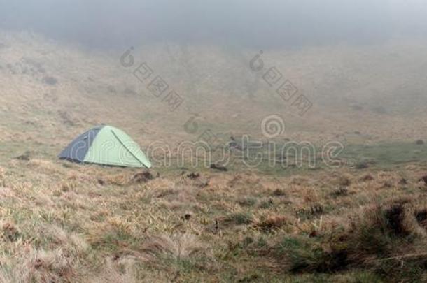 在雾蒙蒙的早晨在户外搭帐篷