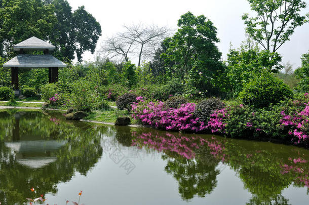 湖光山色的花园