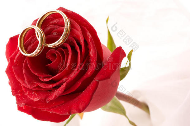 两<strong>枚</strong>结婚戒指和红玫瑰