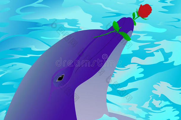海豚和玫瑰
