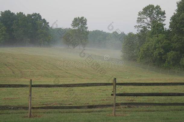 农场上的雾