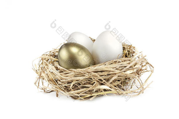 金巢蛋