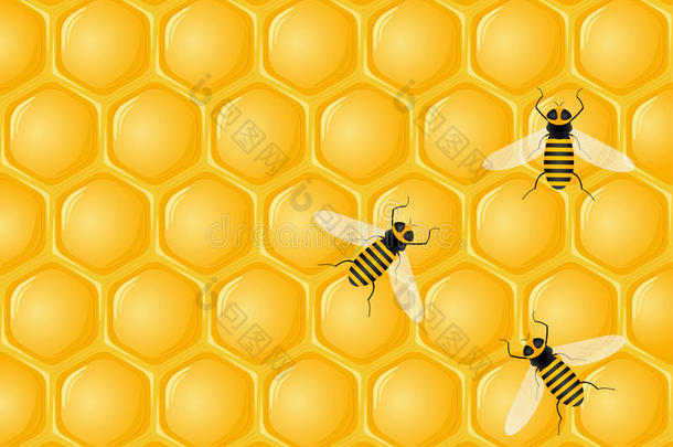 蜂巢和<strong>蜜蜂</strong>