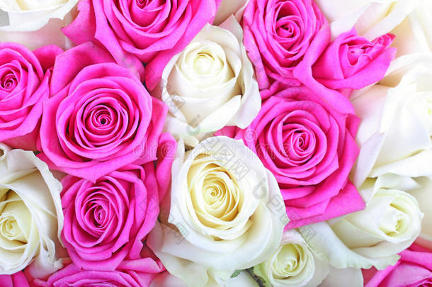 白色粉色玫瑰花爱情婚礼浪漫情人节礼物浪漫玫瑰花瓣布置结婚纪念日新娘花瓣
