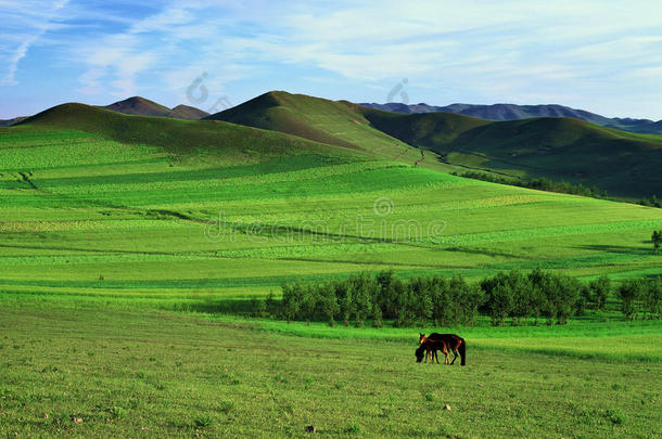 山坡