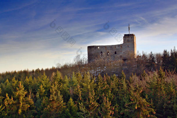 森林中的城堡废墟