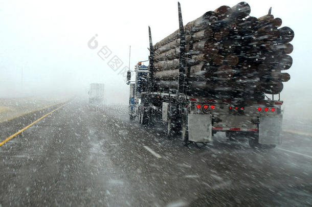 在暴风雪中开车