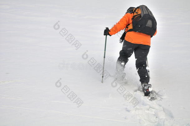 在雪地里行走