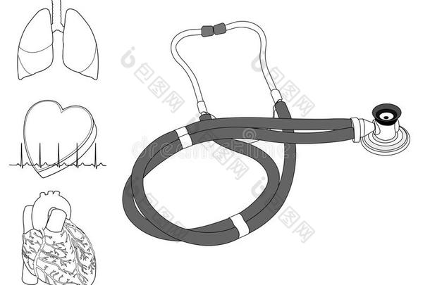 听诊器与<strong>人体器官</strong>