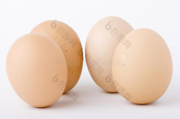 鸡蛋直立