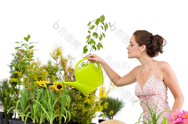园艺-给植物浇水的女人