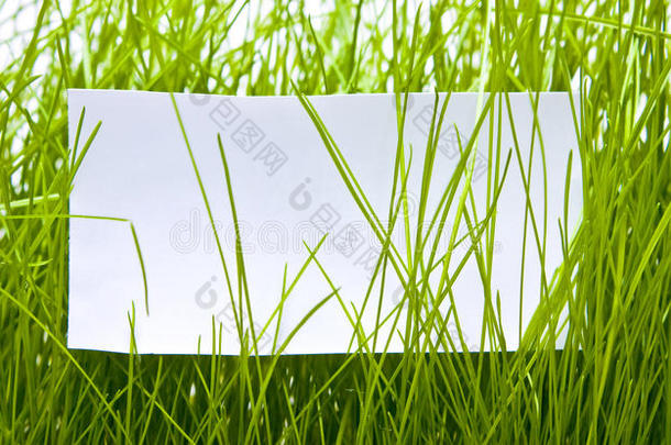 绿色草地上干净的床单