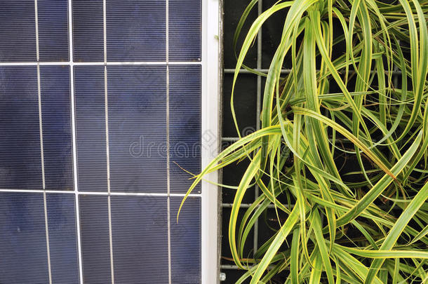 太阳能电池和植物，ps-57399