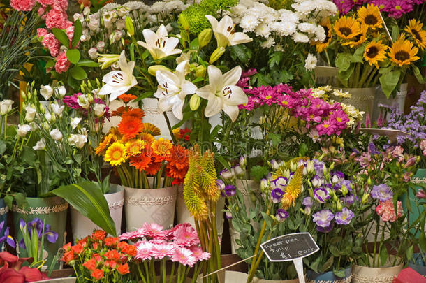 市场花卉摊位展示。